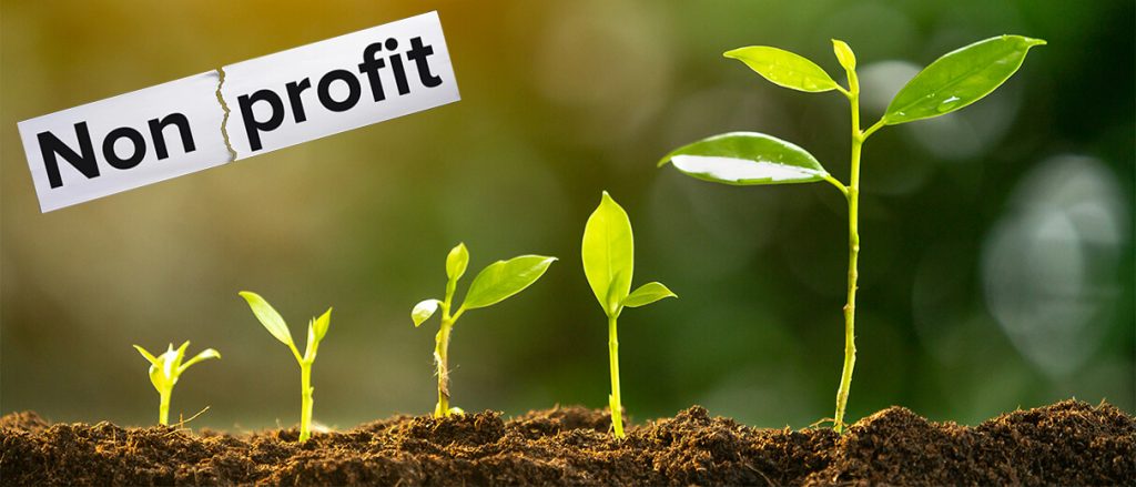 Non for Profit – A NetSuite Solution