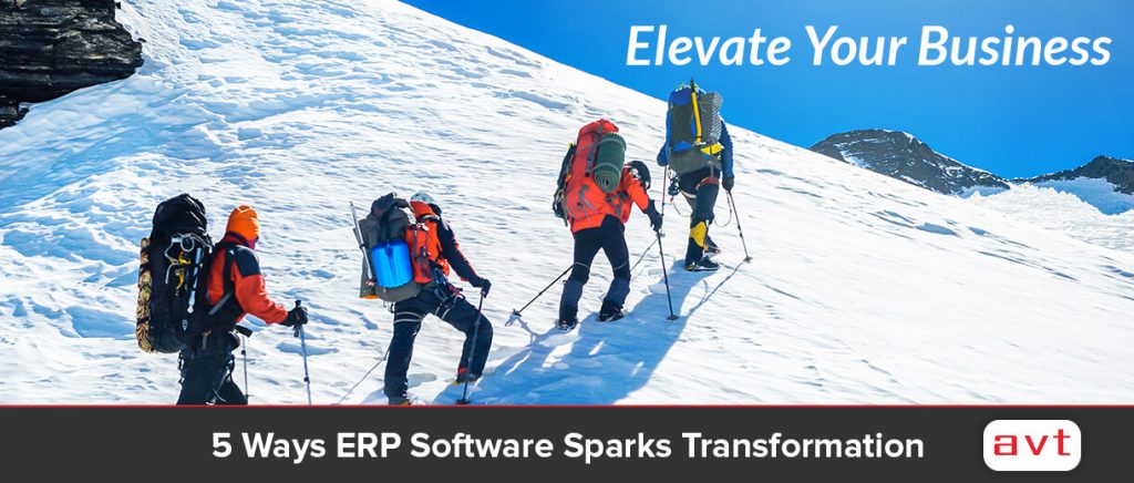 5 Ways ERP Software Sparks Transformation